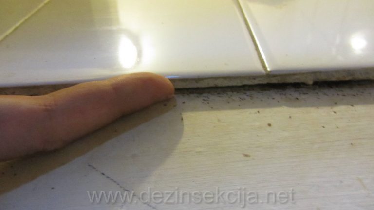 Dokaz gde bubaruse odnosno kuhinjske smedje bubasvaba zive.Kuhinjske plocice ispod ispale glet keramicke mase duboko zavucene u plocicama.Spolja se nista ne vidi.Po doziranom preparatu pocinju da izlaze.