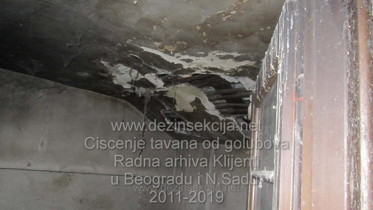 Stanje tavana nakon izostanka renoviranja u jednoj od zgrada u Smederevu nakon pregleda.