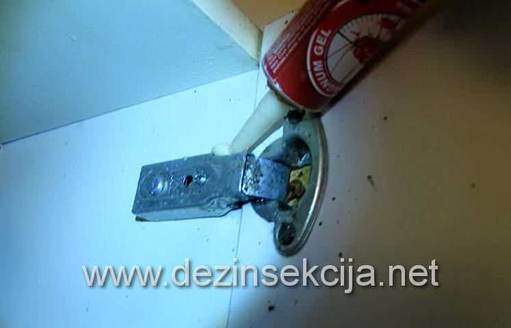 Primena sanitarnog bezopasnog gela na bazi modifikovane vanilice u permanentnoj regulaciji bubarusa u kuhinji,kupatilo i ostalim prostorijama kod fizičkih i pravnih lica u Beogradu,Novom Sadu i ostalim mestima u Srbiji.