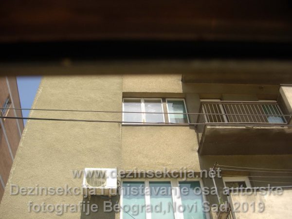 Pregled zgrade fasade pred tretmanom Beogradsko naselje Čukarica 2019 e godine.