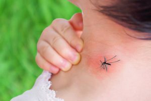 Dezinsekcija i deratizacija komaraca i zastita od komaraca u Beogradu i Novom Sadu kao i ostalim mestima u Vojvodini i Srbiji.