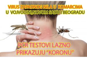 Virus Zapadnog Nila u ujedima komaraca u Beogradu,Novom Sadu,Vojvodini i Srbiji.Preventivno zaprašivanje i dezinsekcija na pojavu komaraca su jedini način da sačuvate svoje zdravlje,sebe,svojih ukućana,kolega,kućnih ljubimaca i domaćih životinja.Promotivne cene prskanja i zaprašivanja na pojavu komaraca u toku leta 2020 e.Spasite život sebi i dalje infekcije od ujeda komaraca sertifikovanim preparatima za komarce i izvršenjem od strane starijeg iskusnog radnog osoblja.